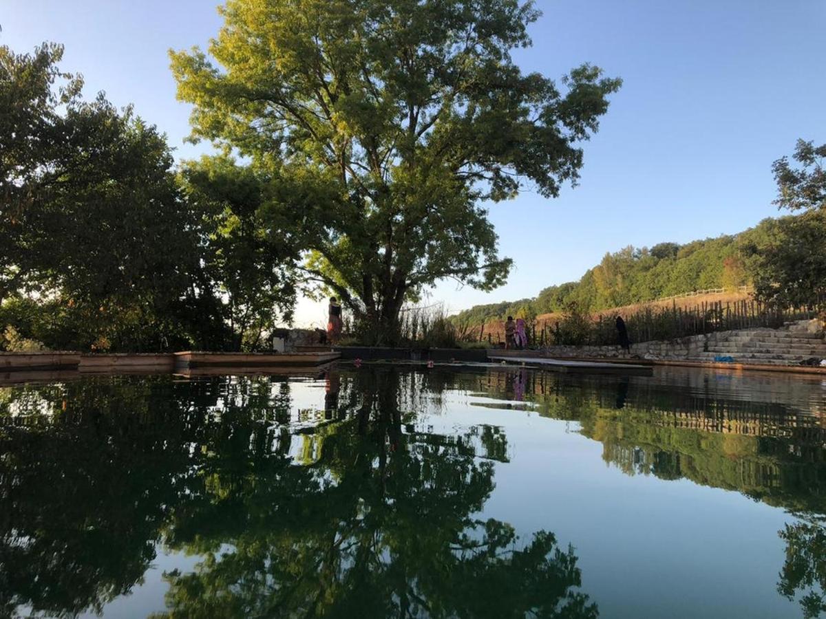Gite Les Cabanes De Fallot Pour 15 Personnes - Piscine Naturelle L'isle-Bouzon Eksteriør bilde